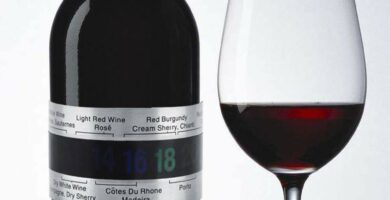 termómetros para vino